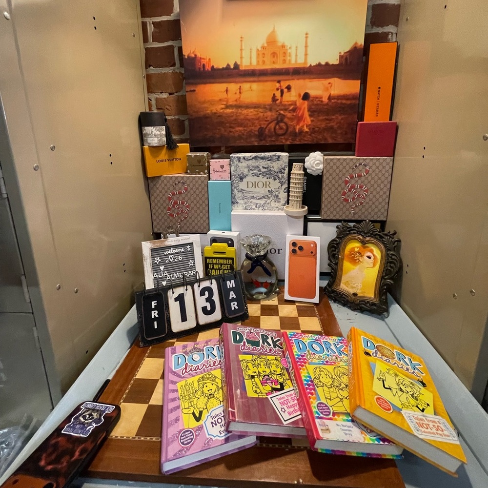 Dork diaries 4 book bundle